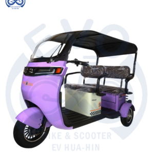 Electric Three-Wheeled Scooter with Roof 1000W