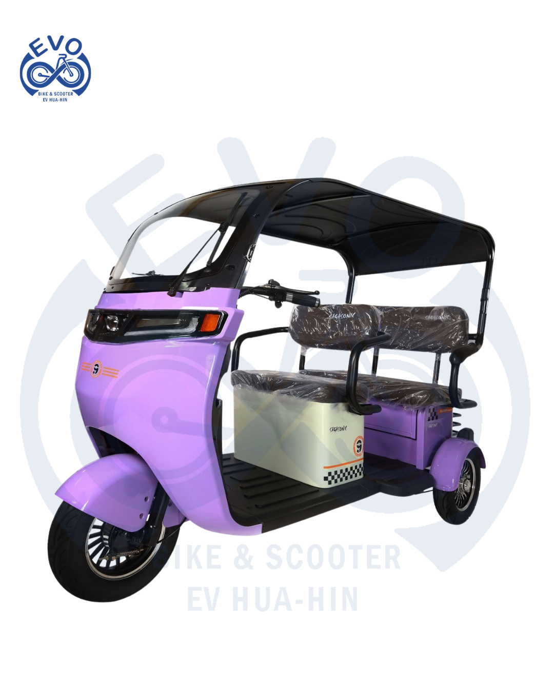 Electric Three-Wheeled Scooter with Roof 1000W