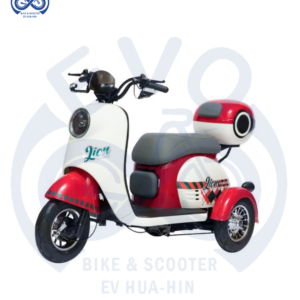 Electric Three-Wheeled Scooter 600W (Premium Model)
