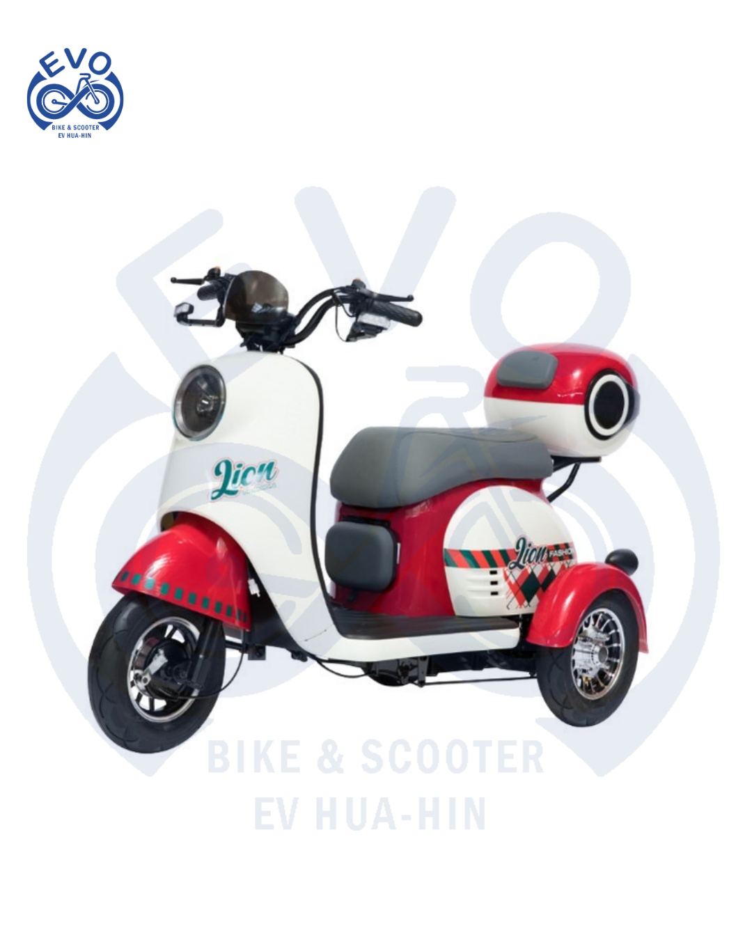 Electric Three-Wheeled Scooter 600W (Premium Model)