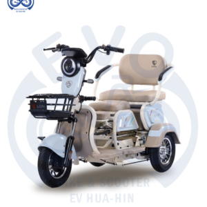 Electric Three-Wheeled Scooter 1000W