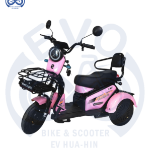 Electric Three-Wheeled Scooter 800W
