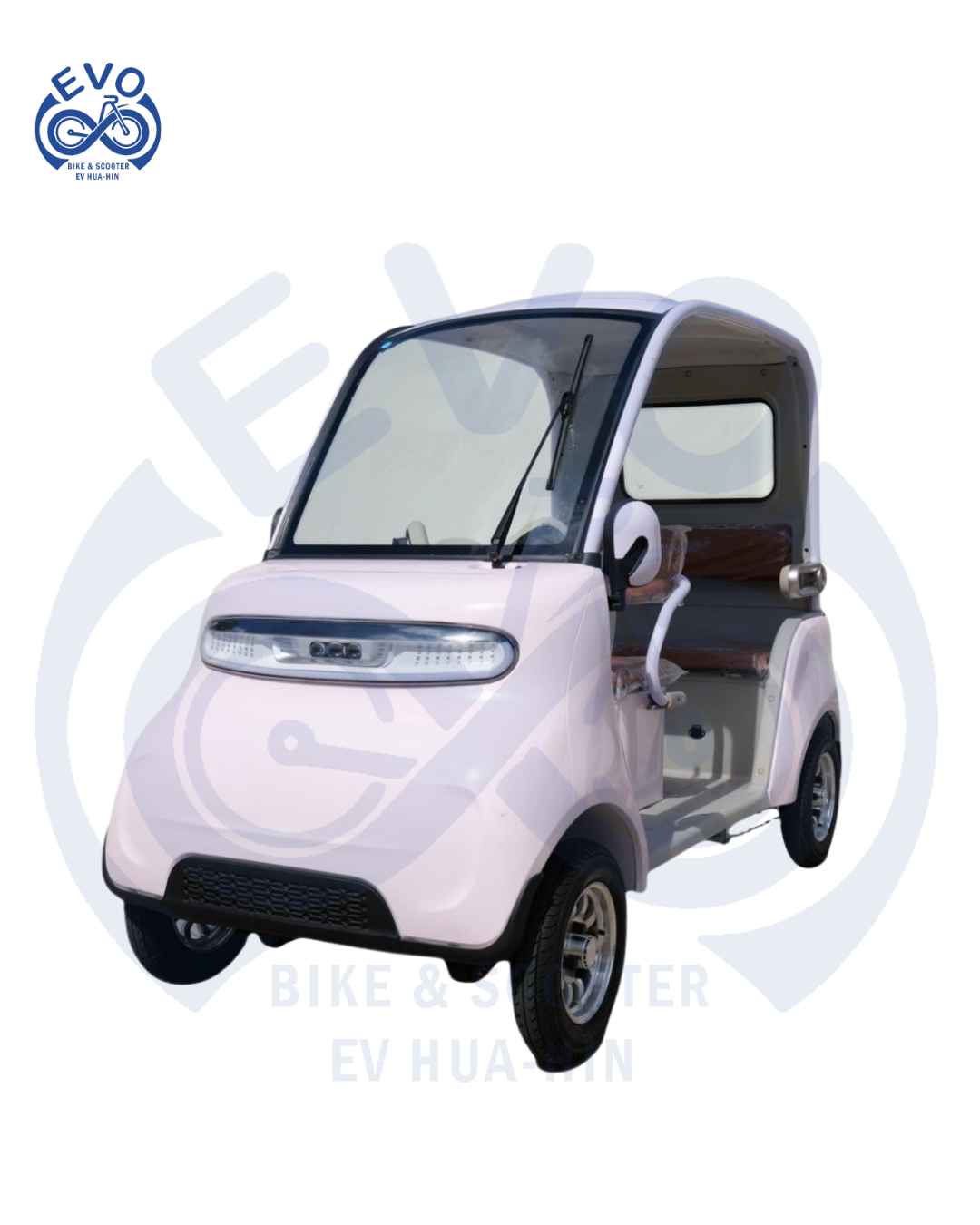 Electric Golf Cart 1000W (Stylish & Easy-to-Use)