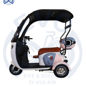 Electric Three-Wheeled Scooter with Roof 1000W (Compact Model)