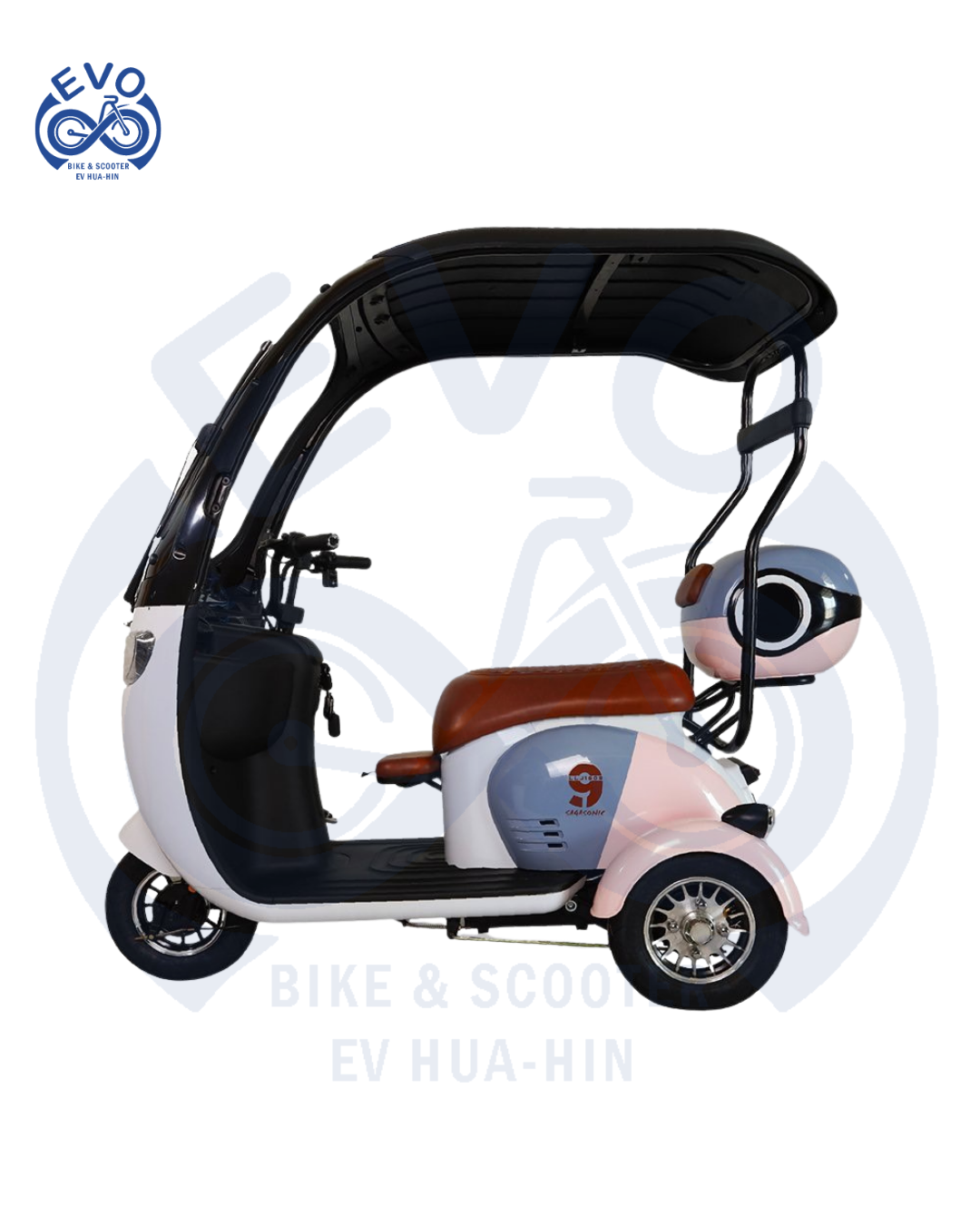 Electric Three-Wheeled Scooter with Roof 1000W (Compact Model)