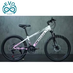 24-Inch Mountain Bike