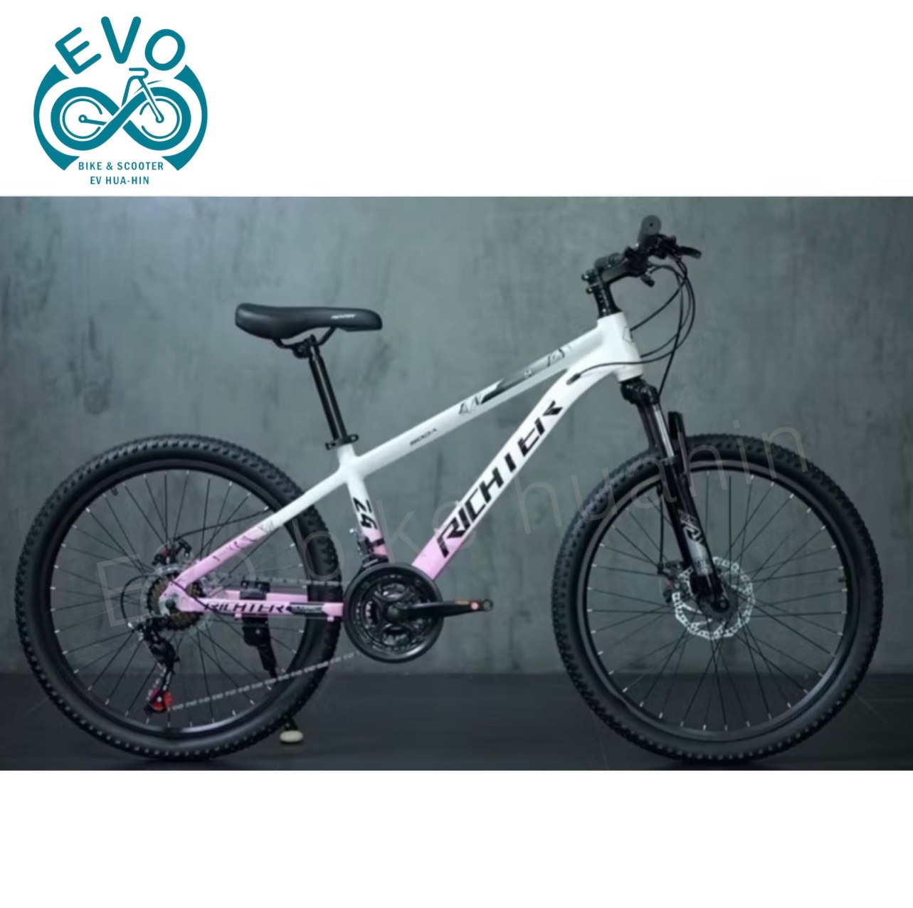 24-Inch Mountain Bike