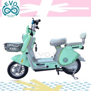 2-Wheel Electric Scooter 1000W (Big)