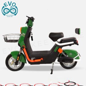 Electric Scooter with Premium Features